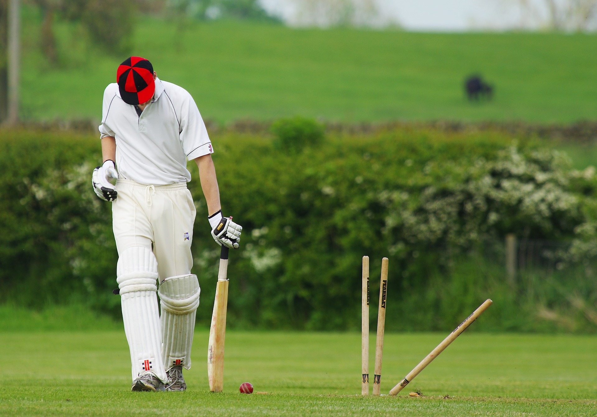 ways to get wickets